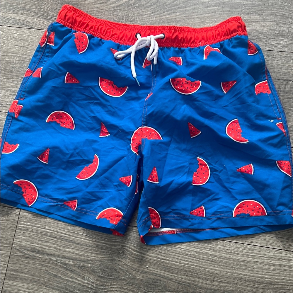 Blue Watermelon Print Swim Trunks